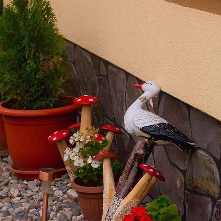 Casa Pop Hotel Săpînţa Екстериор снимка
